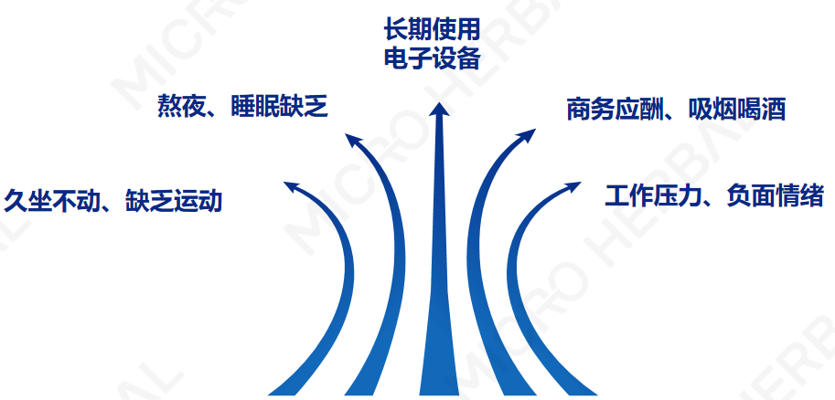 尊龙体育·(中国)人生就是搏官网